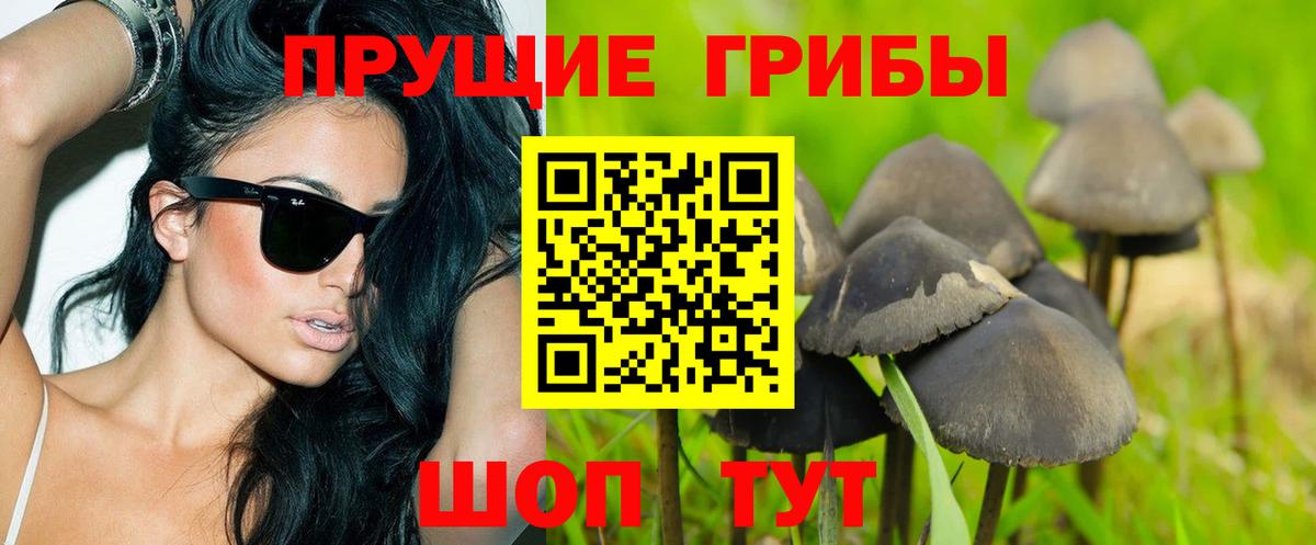 Псилоцибиновые грибы GOLDEN TEACHER Георгиевск